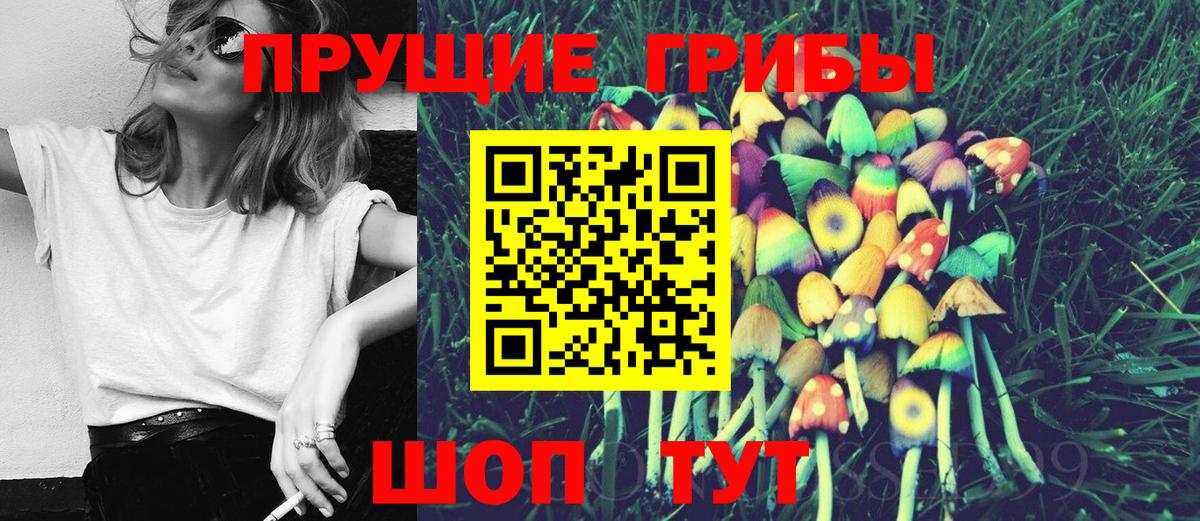 Пыть-Ях  Галлюциногенные грибы Psilocybine cubensis  Вход с VPN 
